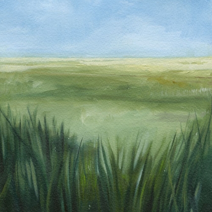 Picture of TALL GRASS PLAINS II