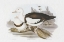 Picture of SEABIRD PAIRING II