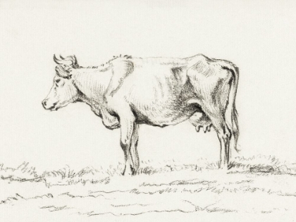 Picture of BERNARD COW SKETCH I