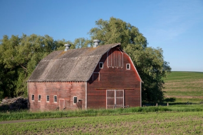 Picture of RUSTIC PALOUSE BARN I