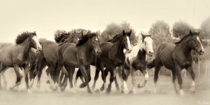 Picture of RUNNING FREE