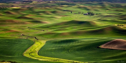 Picture of THE PALOUSE COUNTRYSIDE  I