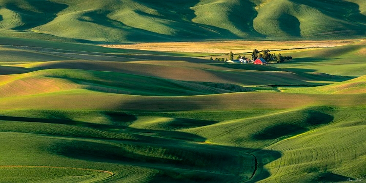 Picture of THE PALOUSE COUNTRYSIDE  II