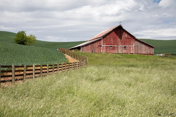 Picture of BARN BY THE FENCE