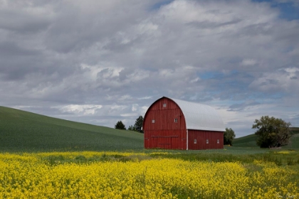 Picture of PALOUSE BARN AND FLOWERS I