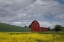 Picture of PALOUSE BARN AND FLOWERS I