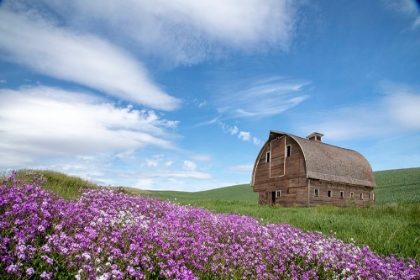Picture of PALOUSE BARN AND FLOWERS II