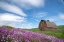 Picture of PALOUSE BARN AND FLOWERS II