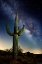 Picture of DESERT LIGHTS I