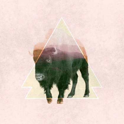 Picture of BISON DOUBLE EXPOSURE WILDLIFE ART