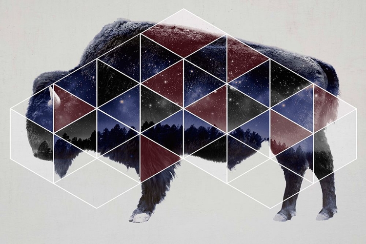 Picture of BISON DOUBLE EXPOSURE WILDLIFE ART II