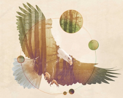 Picture of DOUBLE EXPOSURE WILDLIFE ART - EAGLE