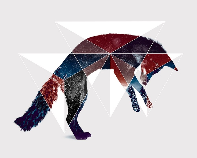 Picture of FOX DOUBLE EXPOSURE WILDLIFE ART I