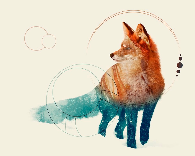 Picture of FOX DOUBLE EXPOSURE WILDLIFE ART II