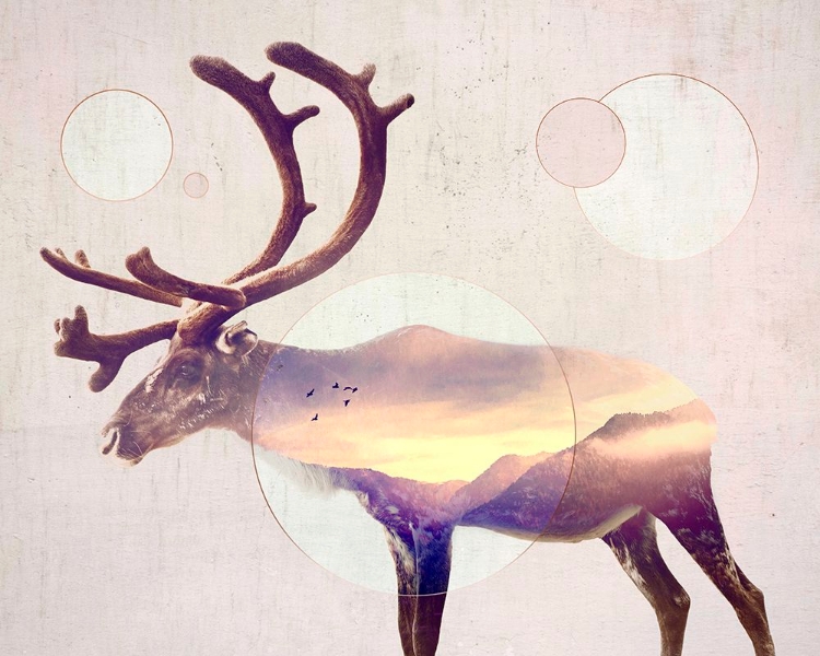 Picture of DOUBLE EXPOSURE WILDLIFE ART - REINDEER