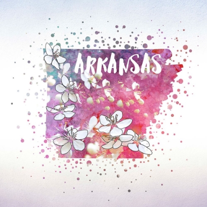 Picture of ARKANSAS STATE FLOWER (APPLE BLOSSOM)