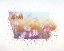 Picture of IOWA STATE FLOWER (WILD ROSE)