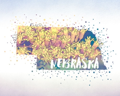Picture of NEBRASKA STATE FLOWER (GOLDENROD)