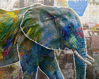 Picture of POP ART - ELEPHANT