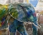 Picture of POP ART - ELEPHANT