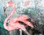 Picture of POP ART - FLAMINGO