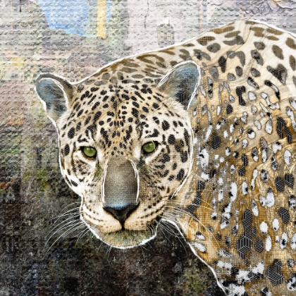 Picture of POP ART - JAGUAR