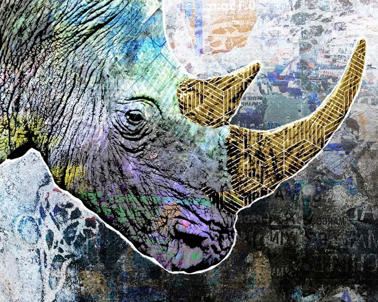 Picture of POP ART - RHINO