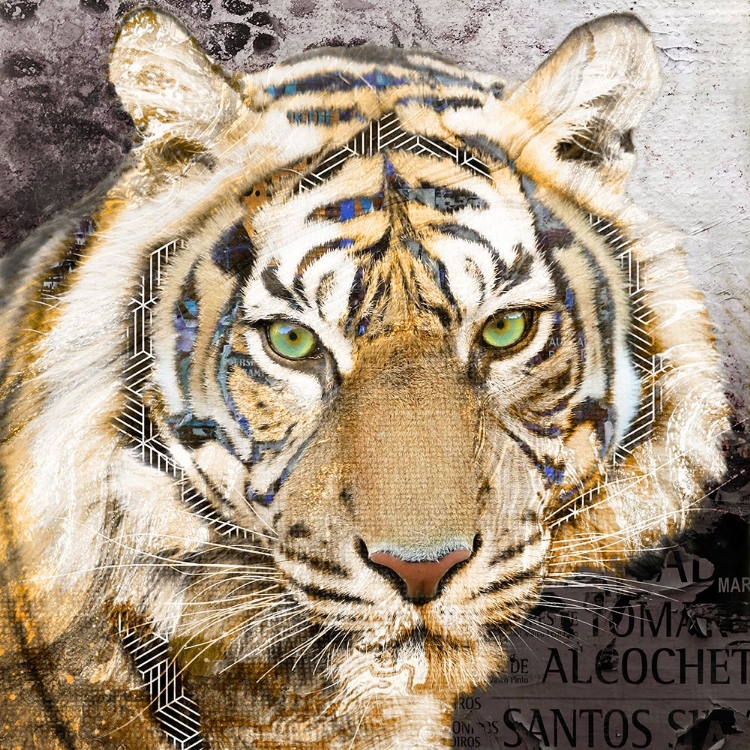 Picture of POP ART - TIGER