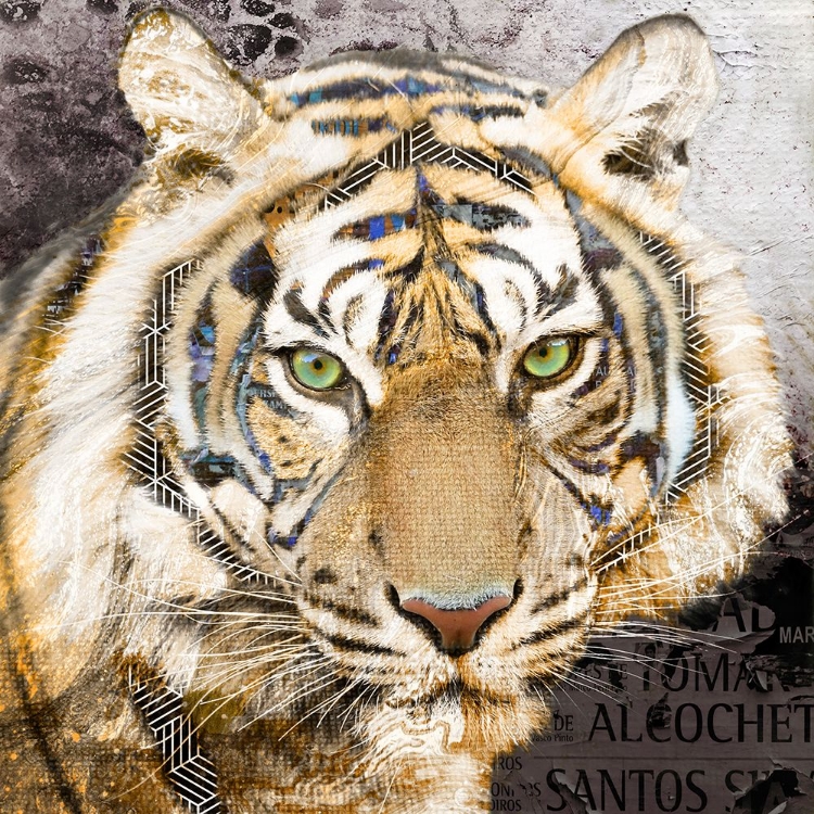 Picture of POP ART - TIGER
