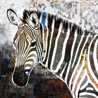 Picture of POP ART - ZEBRA