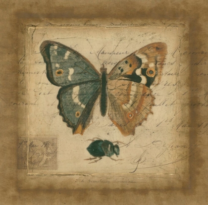 Picture of POSTSCRIPT BUTTERFLY I