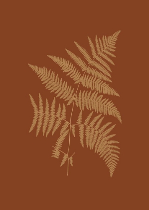 Picture of SEPIA FERNS ON BRICK (WG) III