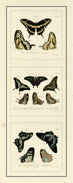 Picture of ANTIQUE BUTTERFLY PANEL II