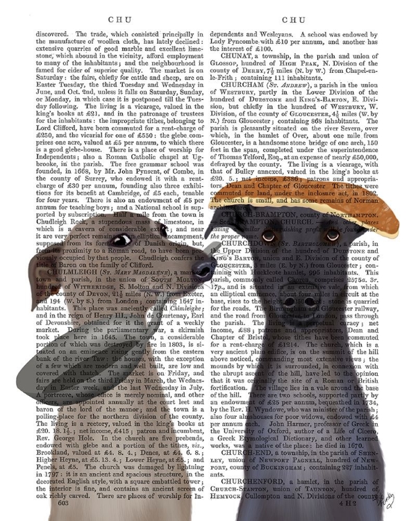 Picture of GREYHOUND PANCAKE DAY BOOK PRINT