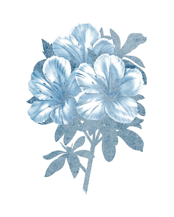 Picture of AZALEA BLUE 1