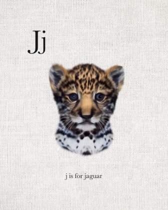 Picture of J IS FOR JAGUAR