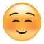 Picture of EMOJI SQUINT SMALL SMILE