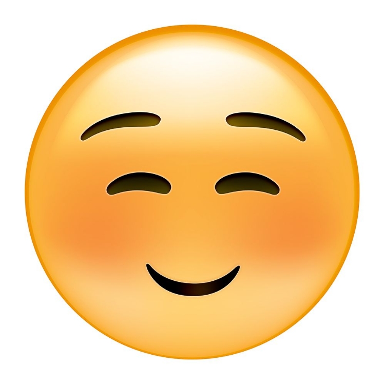 Picture of EMOJI SQUINT SMALL SMILE