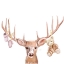 Picture of DEER BABY GIRL
