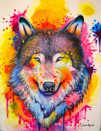Picture of WOLF SPLASH COLORS