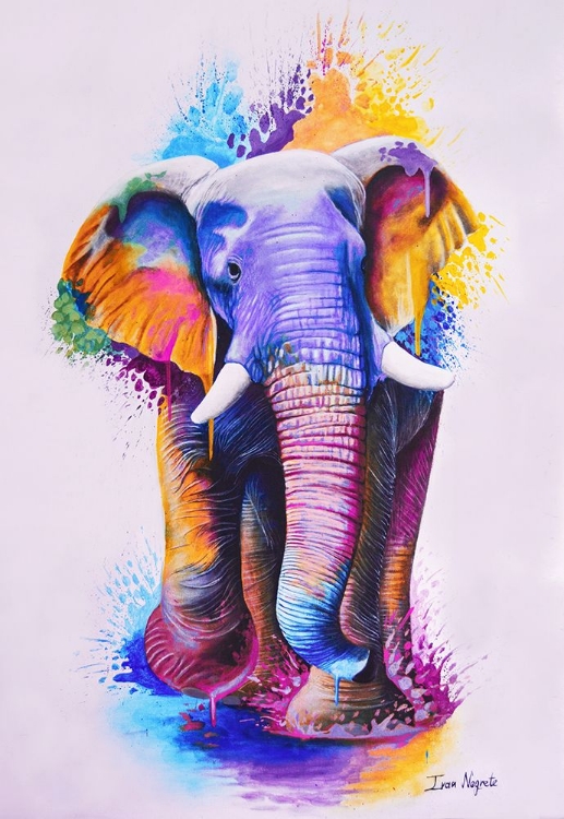 Picture of ELEPHANT SPLASH COLORS