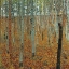 Picture of KLIMT-FOREST OF BEECH TREES