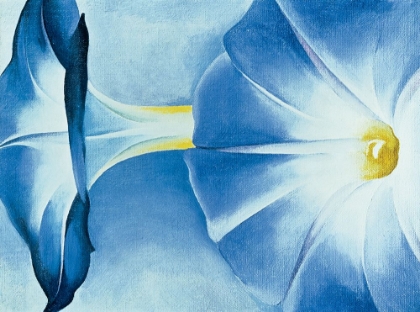 Picture of OKEEFE BLUE MORNING GLORIES