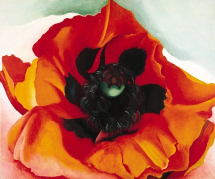 Picture of OKEEFE-POPPY
