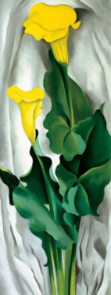 Picture of OKEEFE-YELLOW CALLA