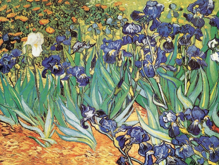 Picture of VAN GOGH-IRIS GARDEN