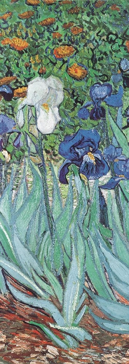 Picture of VAN GOGH-IRIS