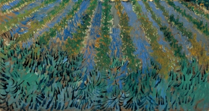 Picture of VAN GOGH-LAVENDER AT SAINTES-MARIES