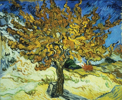 Picture of VAN GOUGH-THE MULBERRY TREE