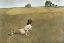 Picture of WYETH-CHRISTINAS WORLD